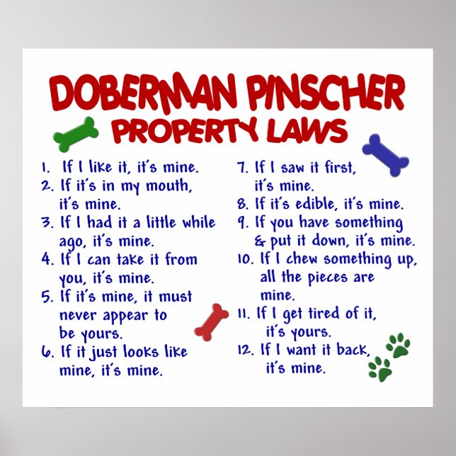 DOBERMAN PINSCHER PL2 POSTER (Framsidan)