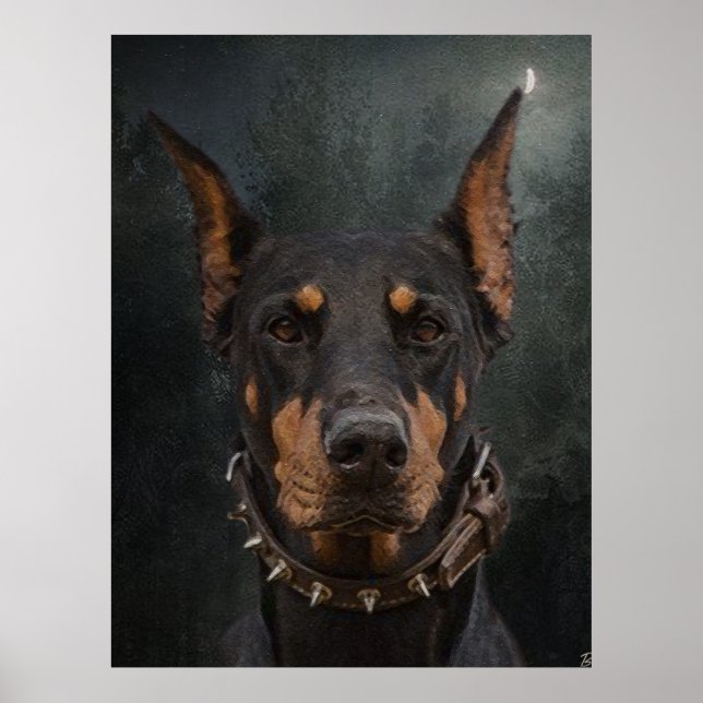 Doberman Pinscher Poster (Framsidan)