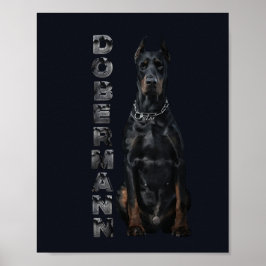 Doberman Pinscher Poster
