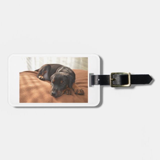 doberman-pinscher-puppy bagagebricka (Horisontell Framsida)