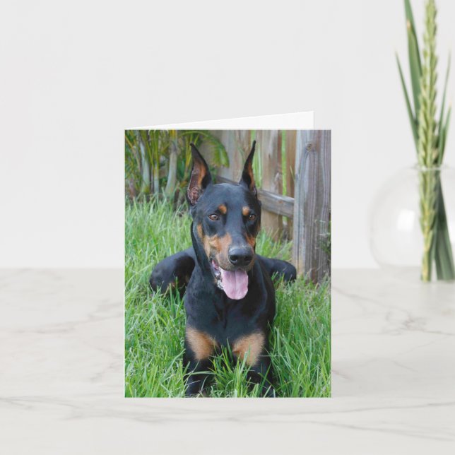 Doberman Pinscher Puppy Hund Blanka anteckningskor Kort (Framsida)