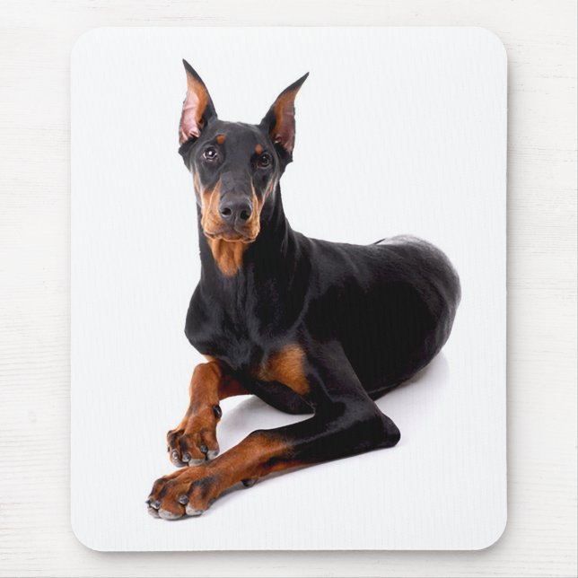 Doberman Pinscher Puppy Hund Mousepad Musmatta (Framsidan)
