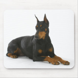 Doberman Pinscher Puppy Hund Mousepad Musmatta