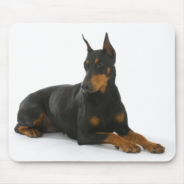 Doberman Pinscher Puppy Hund Mousepad Musmatta (Framsidan)
