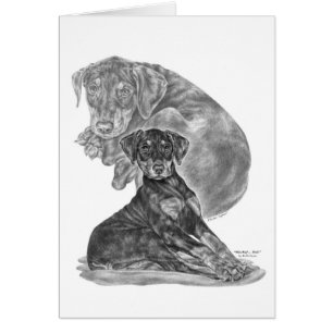 Doberman Pinscher Puppy Teckning av Kelli Svan OBS Kort