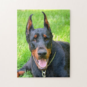 Doberman pinscher pussel