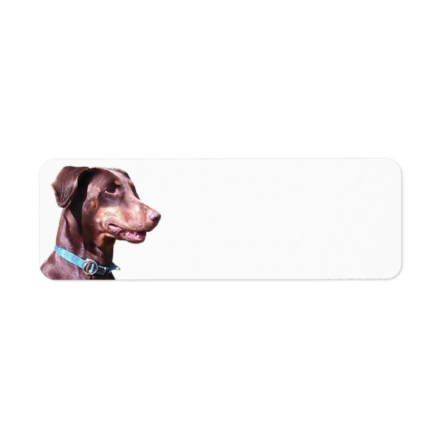 Doberman Pinscher Red Returadress Etikett (Framsidan)
