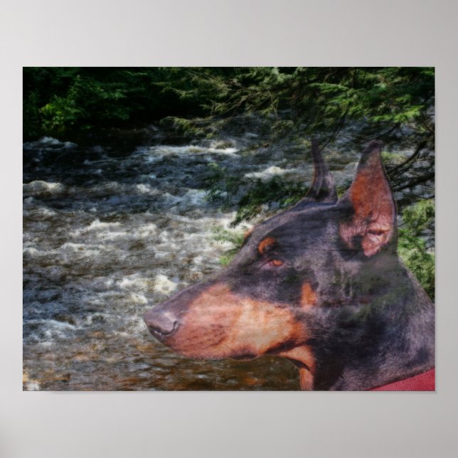 Doberman Pinscher River Träd Fantasy Art Poster (Framsidan)