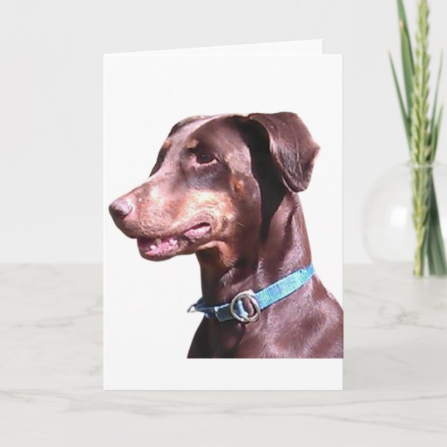 Doberman Pinscher Röd Kort (Framsida)