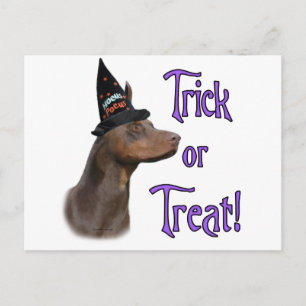 Doberman Pinscher (röd) Trick Vykort