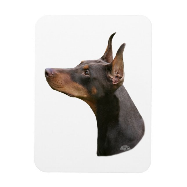 Doberman Pinscher - rött/brunt huvud Magnet (Vertikal)