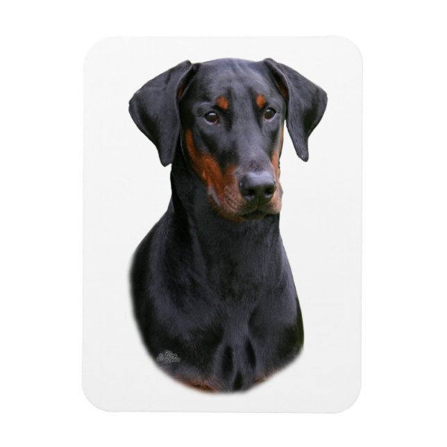 Doberman Pinscher- Svart naturbevuxen Magnet (Vertikal)