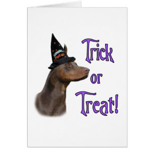 Doberman Pinscher Trick Hälsningskort