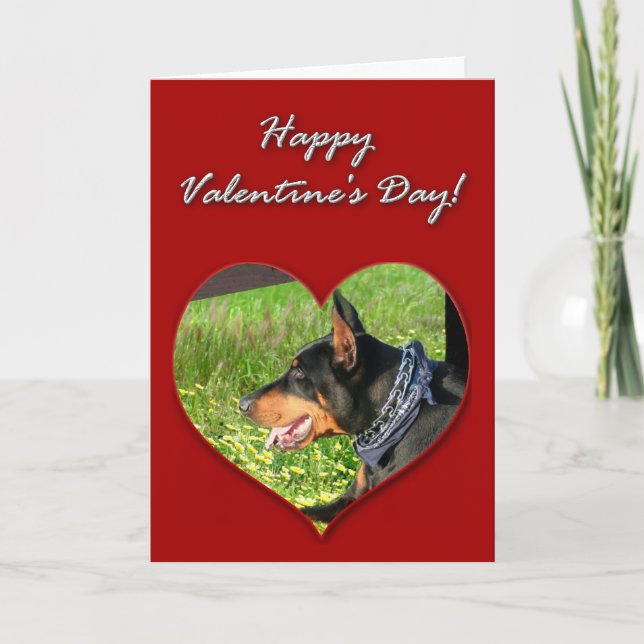 Doberman Pinscher Valentines day kort (Framsida)
