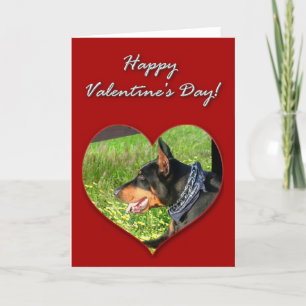 Doberman Pinscher Valentines day kort