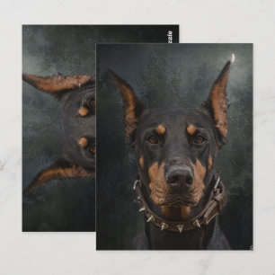 Doberman Pinscher Vykort