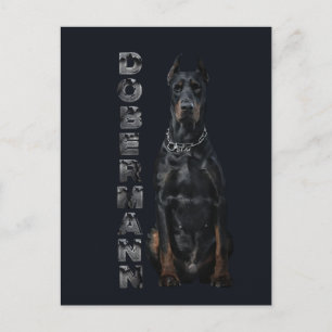 Doberman Pinscher Vykort