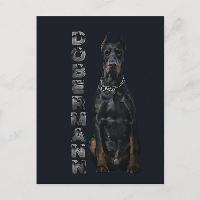 Doberman Pinscher Vykort (Framsida)