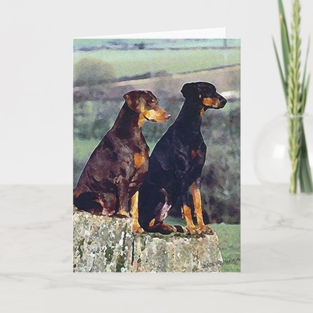 Doberman Porträtt Blank Greeting Card Kort (Framsida)