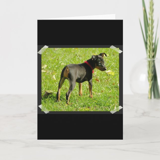 Doberman Puppies Greeting Card Kort (Framsida)