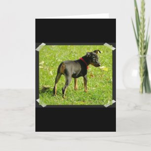 Doberman Puppies Greeting Card Kort