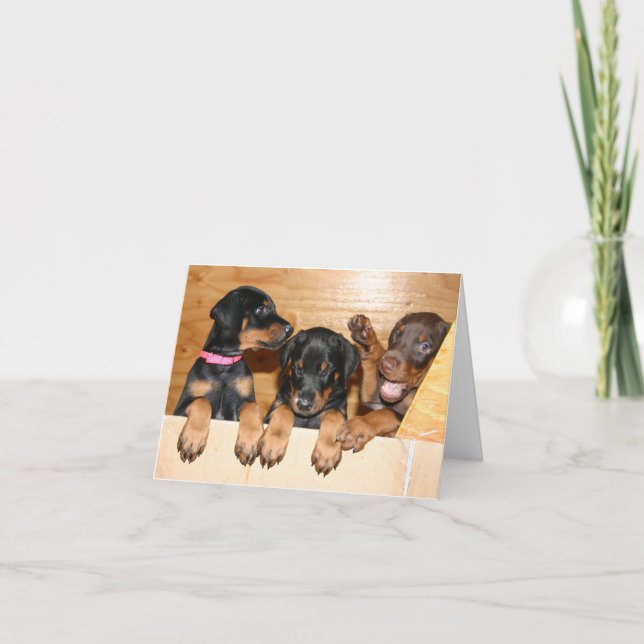Doberman Puppy Note Card Kort (Framsida)