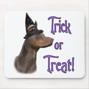 Doberman red Trick Musmatta