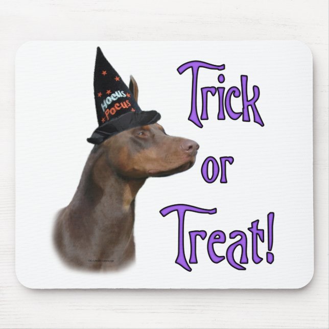 Doberman red Trick Musmatta (Framsidan)