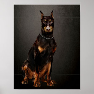 Doberman Reliability Guard Doberman Hund Poster
