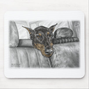 Doberman Riding i Car Musmatta