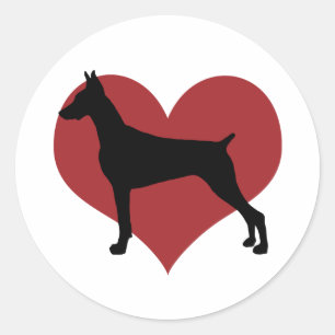 Doberman Runt Klistermärke