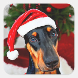 Doberman Santa Hat Fyrkantigt Klistermärke