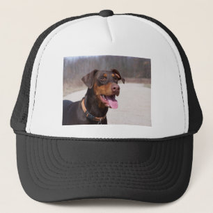 Doberman Truckerkeps