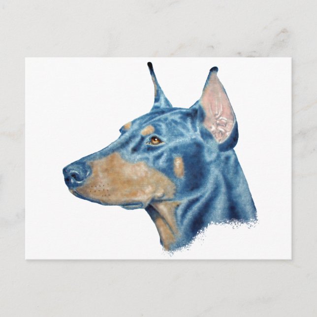 Doberman Vykort (Framsida)