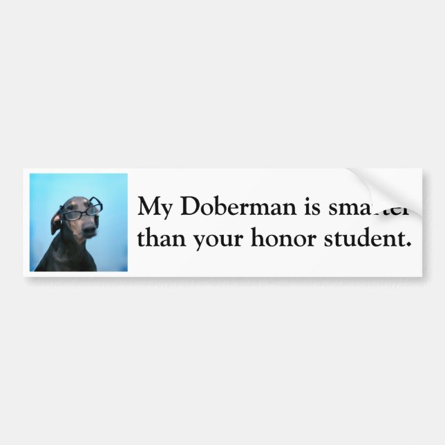 Dobermanen är mer smart än hederstudent bildekal (Framsidan)
