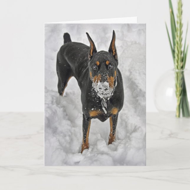 Dobermanen de bäst glädjearna i liv är fri tack kort (Framsida)