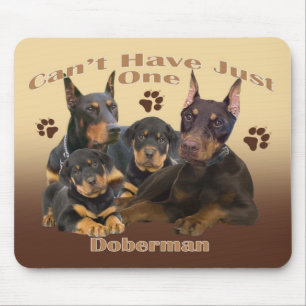 Dobermanen kan inte ha precis en mousepad musmatta
