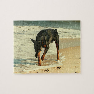 Dobermanen på strandmålningen avbildar pussel