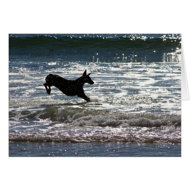 Dobermanen - svart - hav hoppar hälsningskort (Framsidan Horizontal)