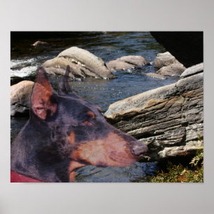Dobermanfloden Sten Fantasy Art Poster