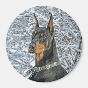 DobermanFosty dag Magnet