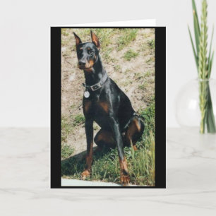 Dobermanhälsningkort Kort