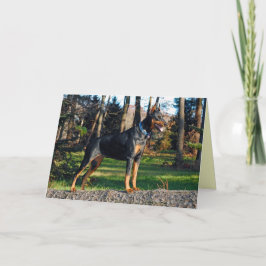 Dobermanhälsningkort Kort