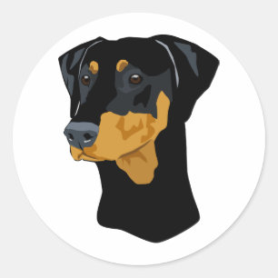 Dobermanhuvud, svart som är uncropped runt klistermärke