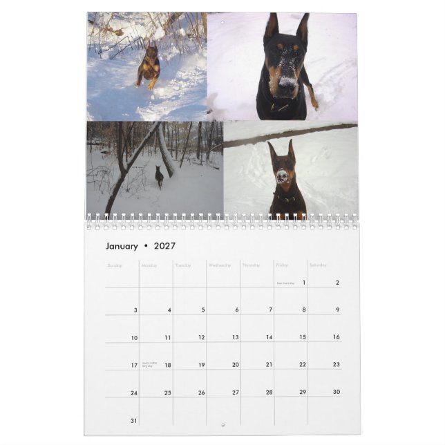 Dobermankalender 2012 igen kalender (Jan 2027)