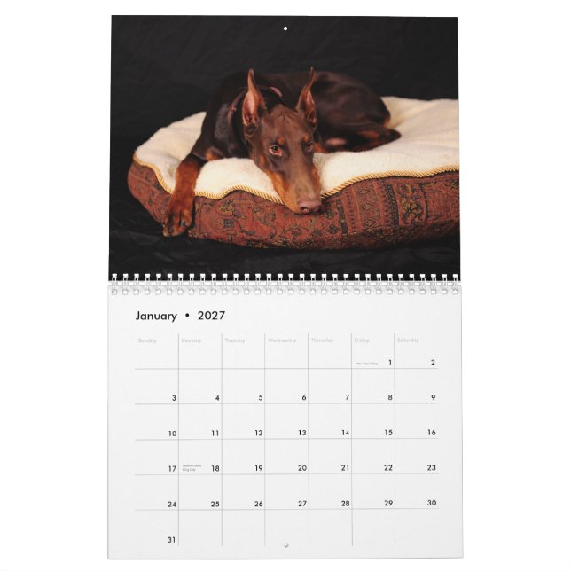 Dobermankalender 2012 kalender (Jan 2027)
