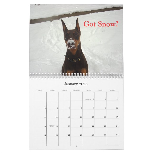 Dobermankalender 2012 kalender (Jan 2026)
