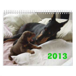 Dobermankalender 2013 kalender