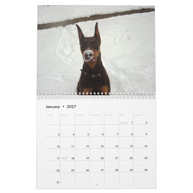 Dobermankalender 2013 kalender (Jan 2027)
