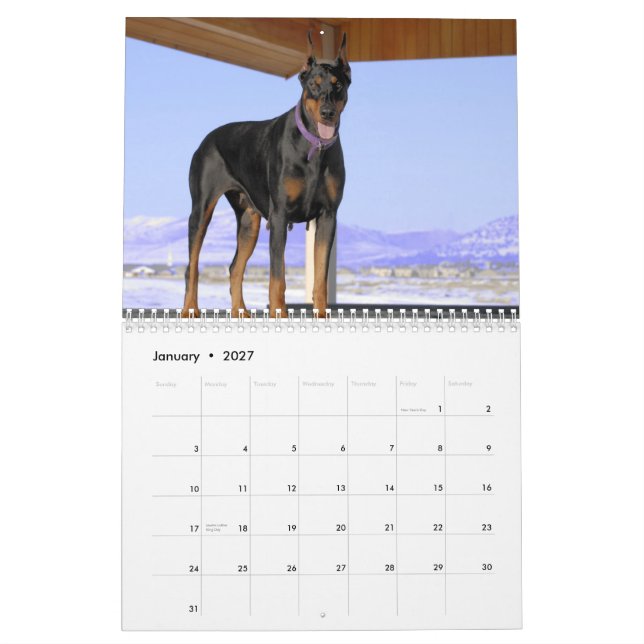 Dobermankalender 2013 kalender (Jan 2027)